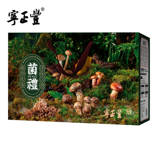 寻味山野—福聚山珍礼盒 （净含量:605克） 商品图4