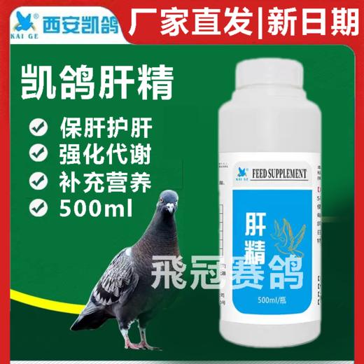 【强化肝精】保肝,护肾,提高竟翔状态,耐力（凯鸽） 商品图0