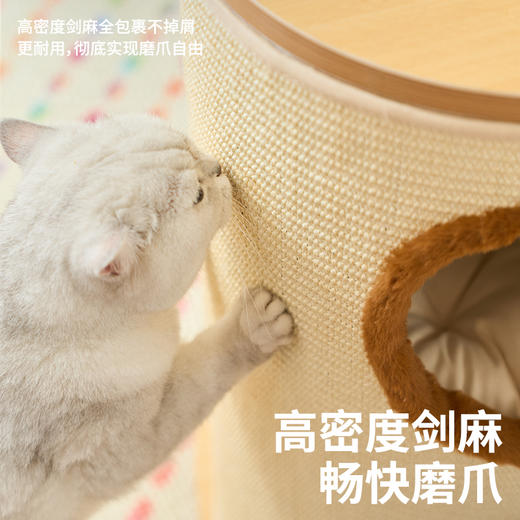 家居风木质爬架（桶型）（包邮）-B 商品图3