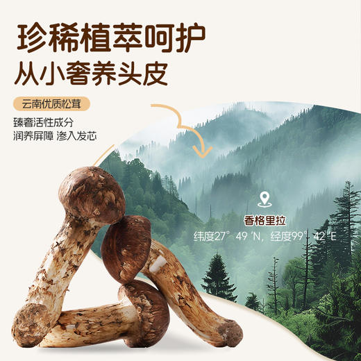 澳雪婴儿高山松茸净爽轻盈洗发水 310ml/1L 商品图3