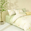 10楼 安睡宝 甄好棉印花四件套-银杏叶 吊牌价1799元 活动价399元 商品缩略图4
