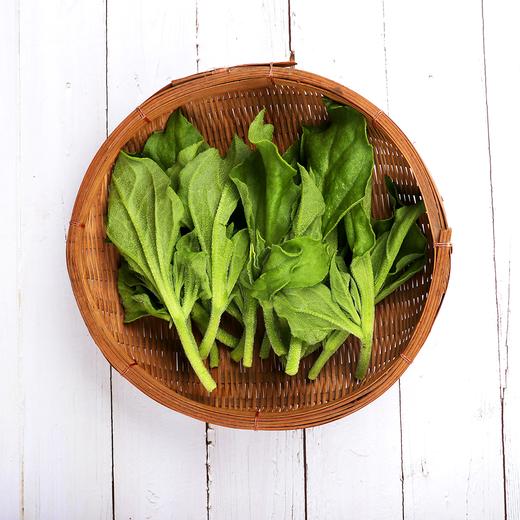 有机冰菜 商品图1