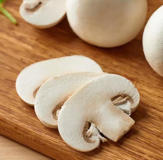 有机白蘑菇 商品图4