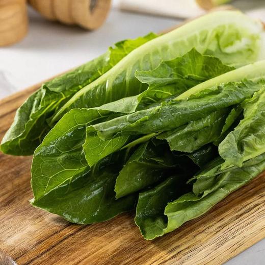 有机意大利生菜 商品图3