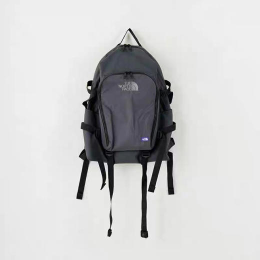 TheNorthFace 北面紫标双肩包。黑色。灰色 商品图7