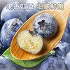 XBD蓝莓125g*6盒（18mm+）【分仓直发，72小时发货，周末节假日不发货】 商品缩略图10