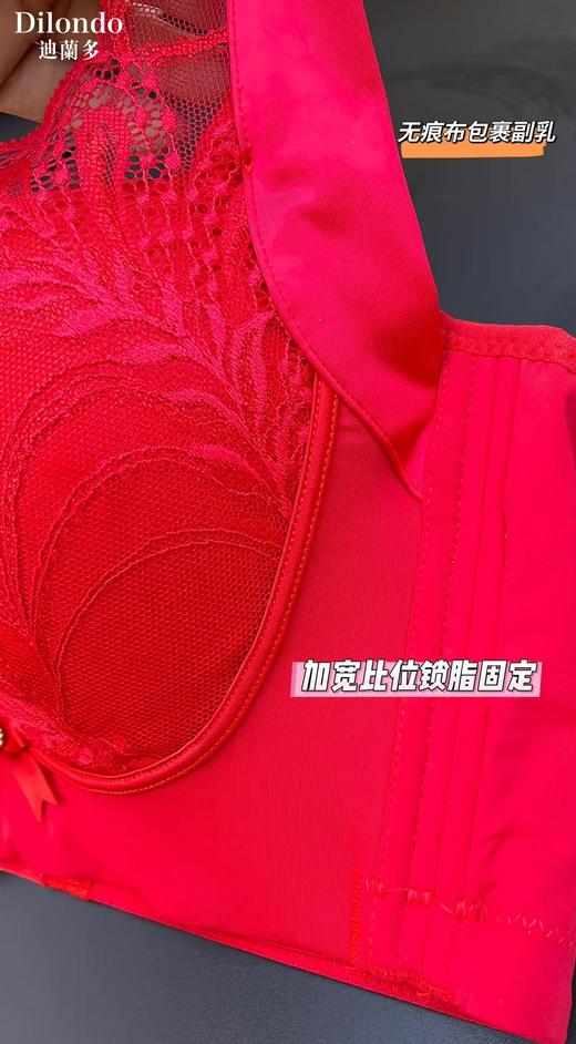 迪兰多调整型定型薄杯侧收聚拢承托大包容2118477C 商品图13