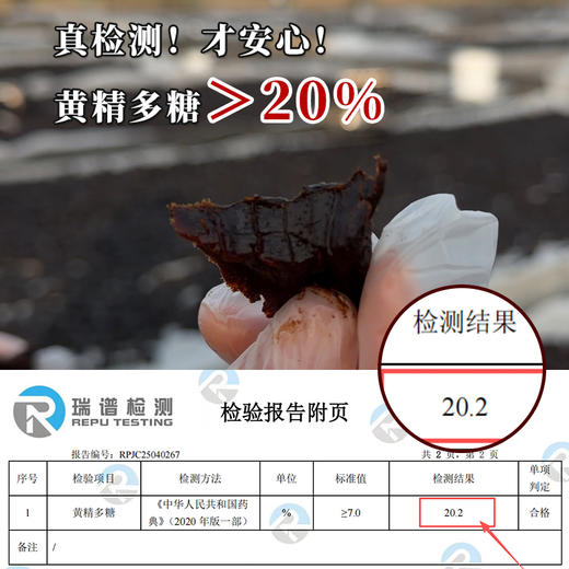 【活动！拍10送5！】10~12年九华山地道九蒸九晒有机黄精果218g/袋 ，“仙人余粮”，“北参南精”，提升精气神！药食同源的中药材黄精去除生黄精的刺激性成分，温和不上火易被人体吸收！ 商品图1