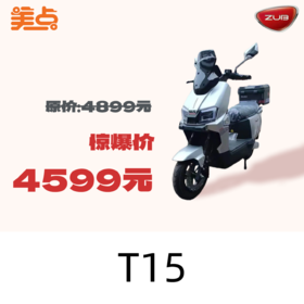 【美点·五星钻豹】T15（带牌）