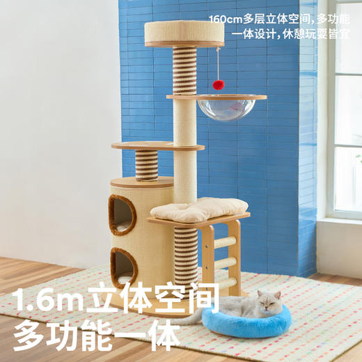 家居风木质爬架（桶型）（包邮）-B 商品图5