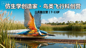 1.28-1.30 《仿生学创造家·鸟类飞行科创营》三天独立营｜7-13岁｜海珠湿地自然学校系列课程