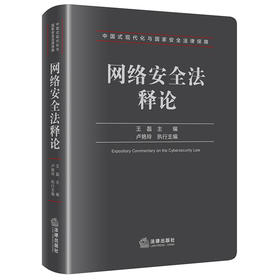 网络安全法释论 王磊主编  卢艳玲执行主编 法律出版社