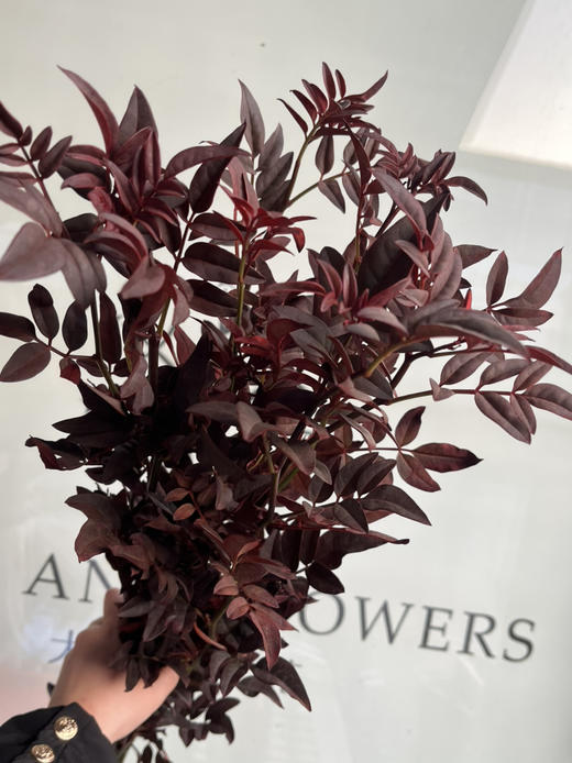 国产叶材-【秋色九星叶】 商品图0