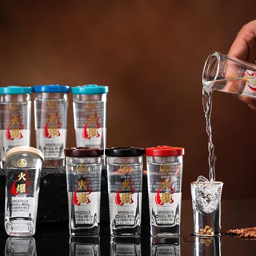 疯抢中！！【春节不打烊】【五粮液总厂出品·辰运祥礼·12生肖酒】42°浓香型白酒 50ml*12瓶/送礼有面儿 商品图1