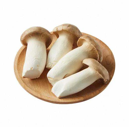 有机杏鲍菇 商品图0