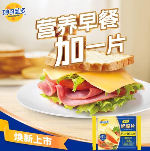 妙可蓝多原味奶酪片166g 商品图0