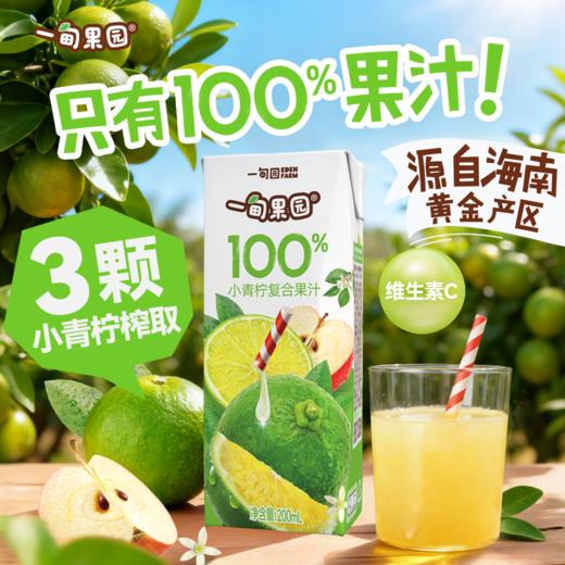 品牌直发 一甸园 一甸果园100%小青柠复合果汁 200mLx10盒/箱 1箱装/2箱装 商品图2
