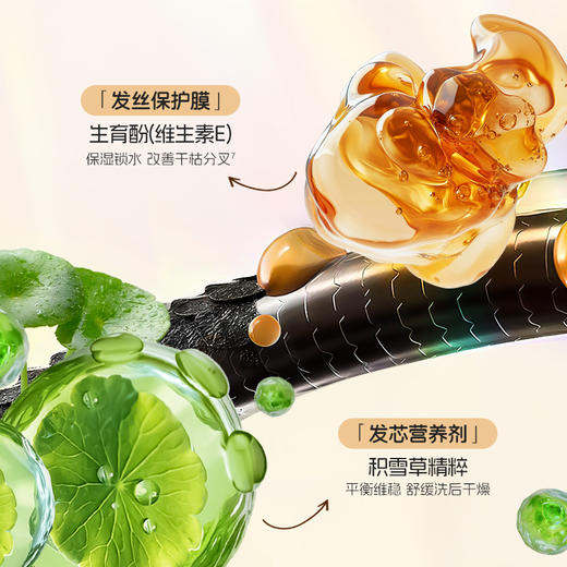 澳雪婴儿高山松茸净爽轻盈洗发水 310ml/1L 商品图5