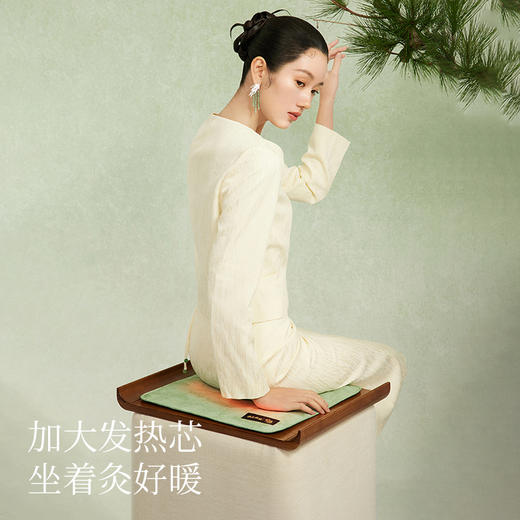 左点养生娘娘艾草热敷坐垫 商品图3