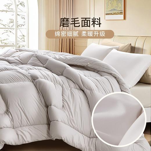 【临时特惠】富安娜卓萃新西兰羊毛冬厚被203*229【分仓直发，72小时发货，周末节假日不发货】 商品图2