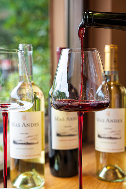 【智利原瓶进口 百年酒庄 来自罗斯柴尔德家族】  MAS ANDES罗斯柴尔德男爵玛安蒂白红葡萄酒系列 商品图3