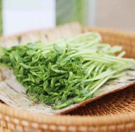有机豌豆苗 商品图2