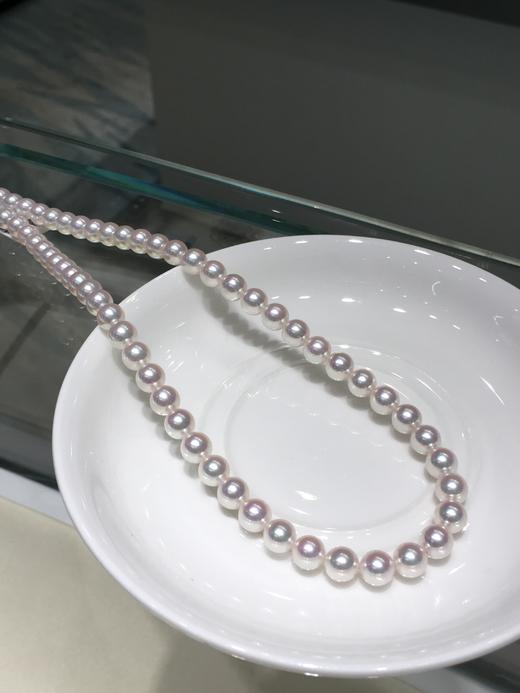 【私席真珠·新年盛宴】Akoya珍珠项链，圆，约43cm，配银扣 商品图1
