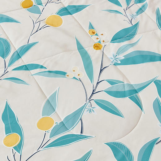 罗莱果色天香夏被200*230【分仓直发，72小时发货，周末节假日不发货】 商品图7