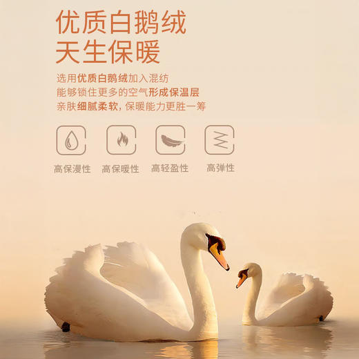 芬腾 鹅绒蚕丝加绒加厚中领套装 男女款 保暖轻盈高弹 舒适度拉满 8813/8823 商品图6