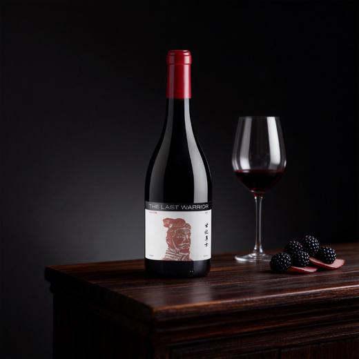 宁夏银色高地世纪勇士红葡萄酒2021年 商品图2