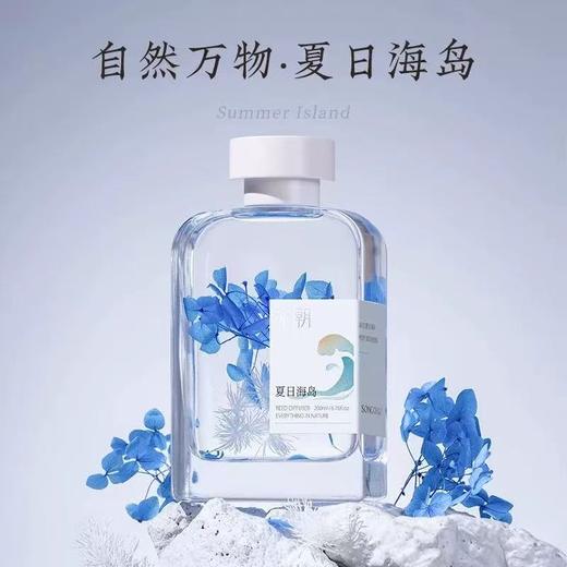 宋朝自然万物系列香薰家用室内卧室持久高级房间厕所无火香氛精油 商品图3