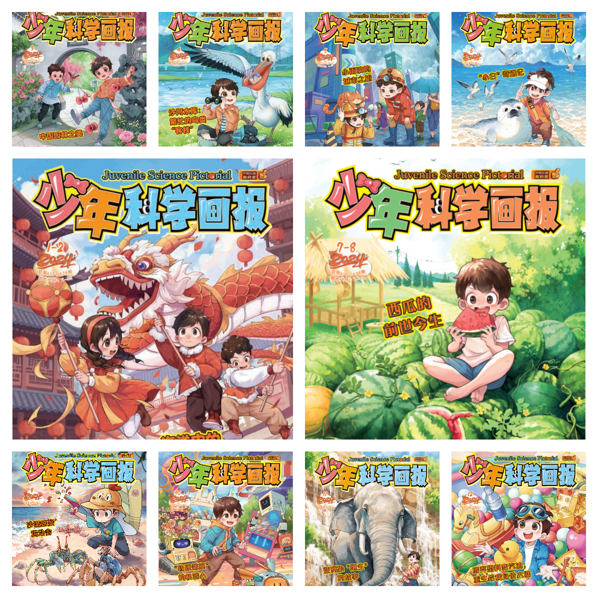 2024年《少年科学画报》全年10本一次发出