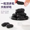 【新货】轩泰医桑葚干 头茬鲜货 大粒无沙桑葚干 升级罐装 250g/罐 商品缩略图4