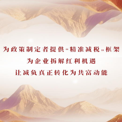 共同富裕新引擎：减税政策效应评估与路径优化 商品图3