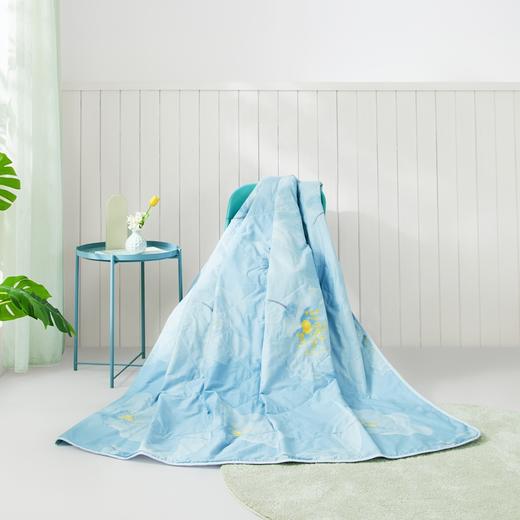 罗莱辽源栎丝™全棉可水洗蚕丝夏被200*230【分仓直发，72小时发货，周末节假日不发货】 商品图2