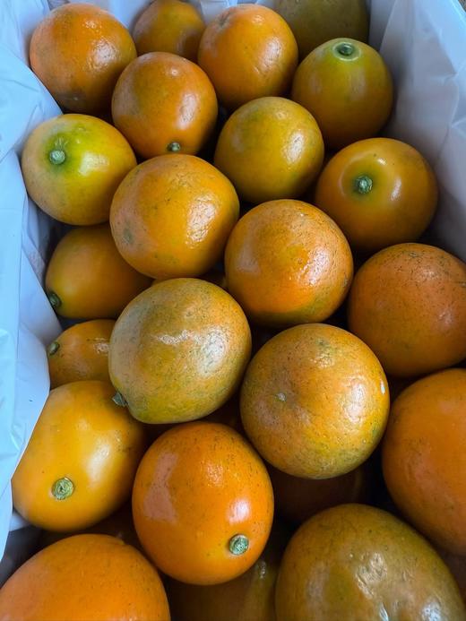 蜜蛋金柑  改良品种 当之无愧千里挑一 脆嫩多汁 皮软软肉甜甜 润嗓又刮油！ 商品图5