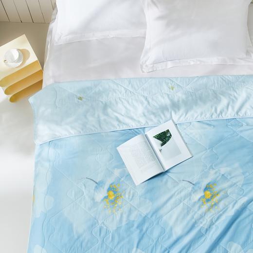 罗莱辽源栎丝™全棉可水洗蚕丝夏被200*230【分仓直发，72小时发货，周末节假日不发货】 商品图1