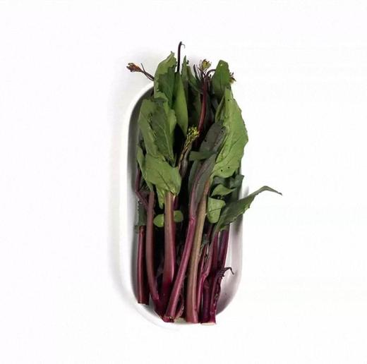 有机红菜苔 商品图1