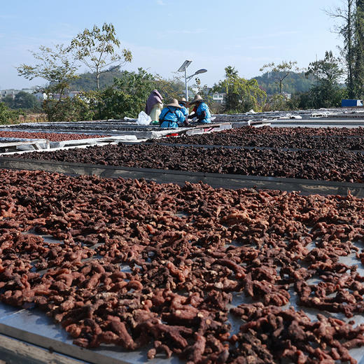 【活动！拍10送5！】10~12年九华山地道九蒸九晒有机黄精果218g/袋 ，“仙人余粮”，“北参南精”，提升精气神！药食同源的中药材黄精去除生黄精的刺激性成分，温和不上火易被人体吸收！ 商品图6