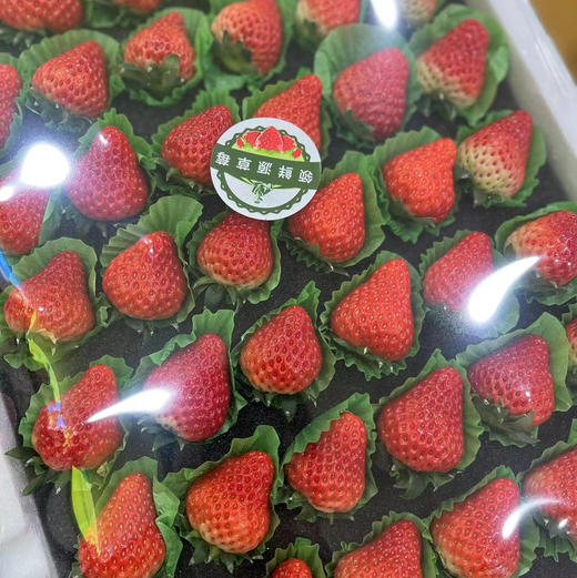 【丹东99草莓】明星产品，一定要尝一尝，娇艳欲滴，草莓娇嫩，部分果子有磕碰属正常现象，请勿介意 商品图8