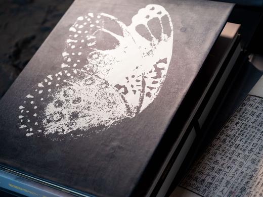 【十点出版】《傅佩荣讲庄子》典藏全三册，全注全解全译，8开庄子画册，8大超值赠礼 商品图3