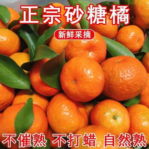 【9斤更超值❗新鲜砂糖橘】一口咬下去，满嘴果香，好吃到停不下来！新鲜橘子当季水果，金秋蜜桔无籽小沙糖桔子整箱L 商品图2