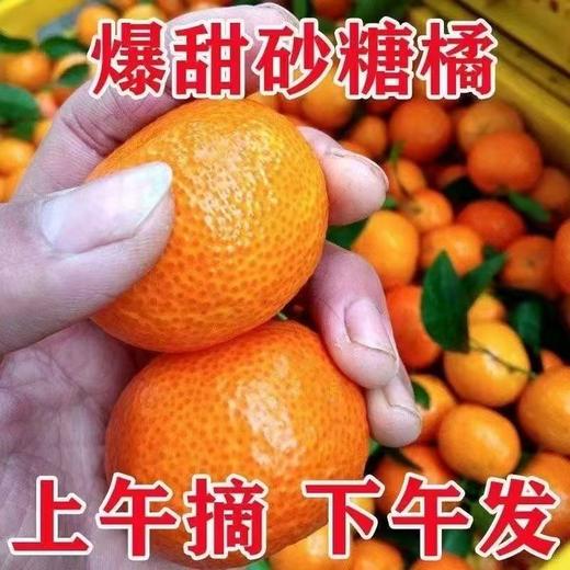 【9斤更超值❗新鲜砂糖橘】一口咬下去，满嘴果香，好吃到停不下来！新鲜橘子当季水果，金秋蜜桔无籽小沙糖桔子整箱L 商品图1