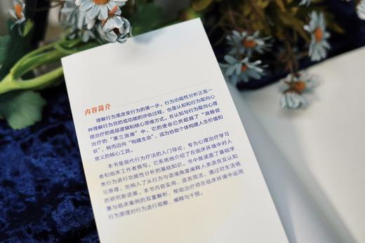 万千心理·理解行为的ABC：心理治疗中的行为原理（原著第三版） 商品图6