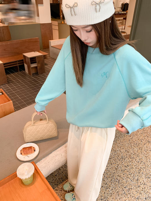 【179元任选2件】现货！韩系简约长袖卫衣 商品图6