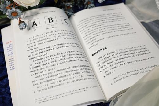 万千心理·理解行为的ABC：心理治疗中的行为原理（原著第三版） 商品图7