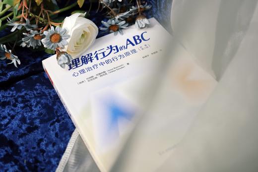 万千心理·理解行为的ABC：心理治疗中的行为原理（原著第三版） 商品图3