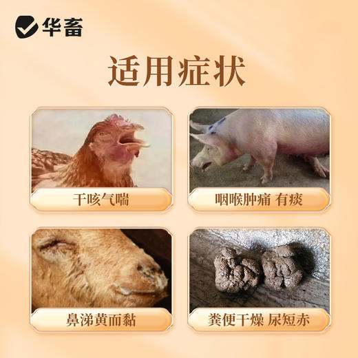 华畜清肺止咳散500g 肺热咳喘 化痰止咳 商品图1