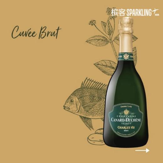 Canard-Duchêne Charles VII Brut 希帝查理七世香槟 商品图3