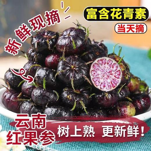 【不一样的美味❗新鲜云南红果参】好品质来自好产地，应季水果红果参，果肉密实多汁，酸甜可口，营养价值高，稀有水果蜘蛛果包邮应当季红果参L 商品图0